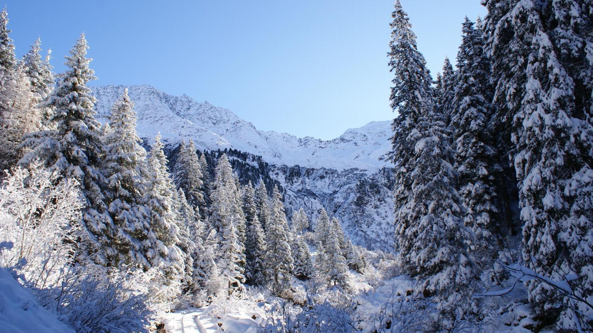 S'Landhaus Neustift im Stubaital Zewnętrze zdjęcie